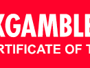 Pragmatic Play partner logo